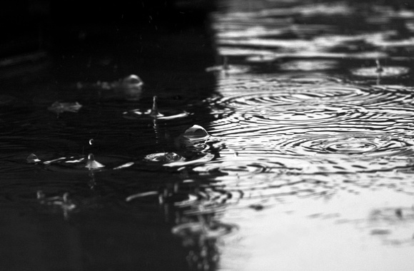 Water in Black and White