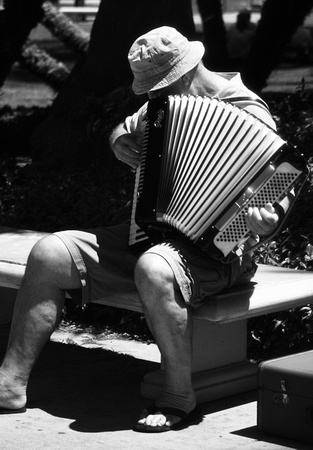 Man with Accordian