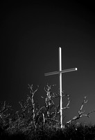 Cross in Black and White