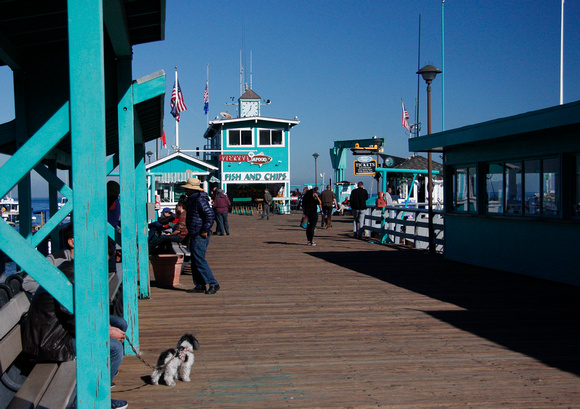 On the Pier